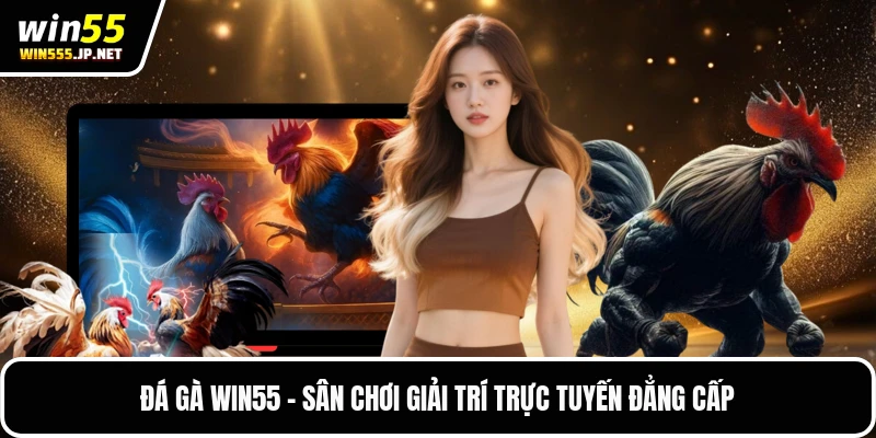 Đá Gà Win55 - Sân Chơi Giải Trí Trực Tuyến Đẳng Cấp